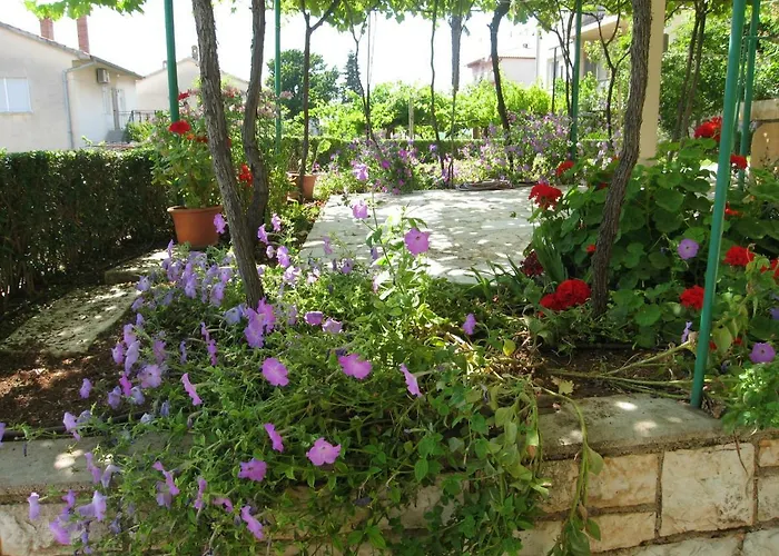 Franjo Apartmán Pula